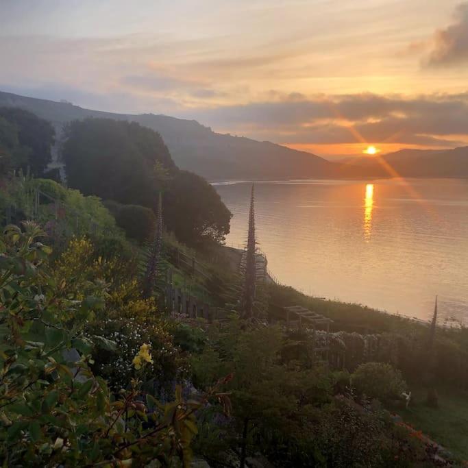 Lyme Clifftop Hideaway 莱姆里吉斯 外观 照片