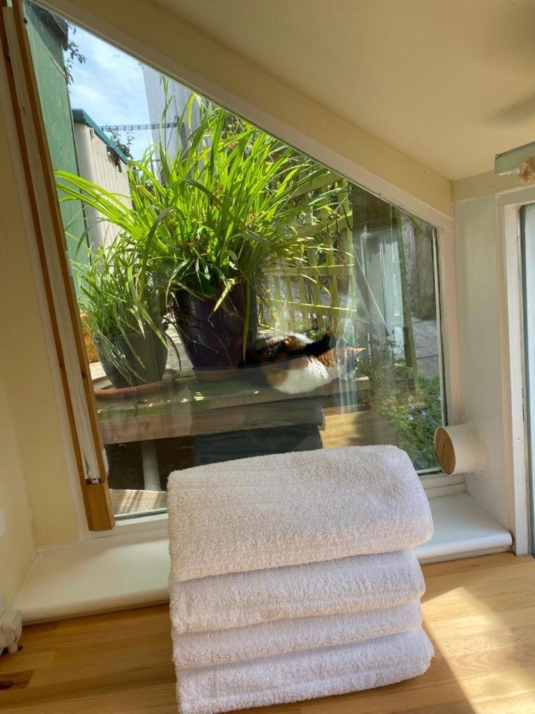 Lyme Clifftop Hideaway 莱姆里吉斯 外观 照片